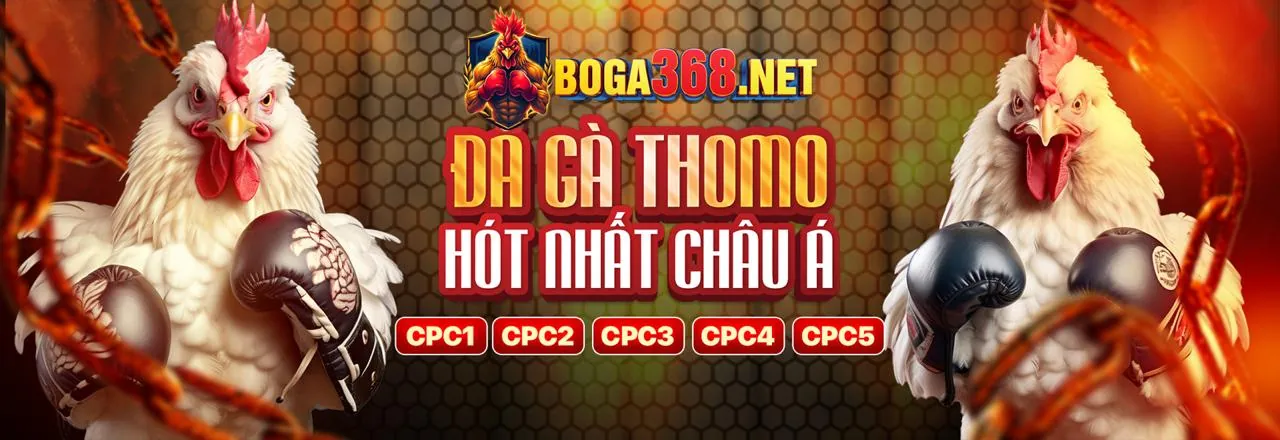 Đá Gà Trực Tuyến Hấp Dẫn anto247
